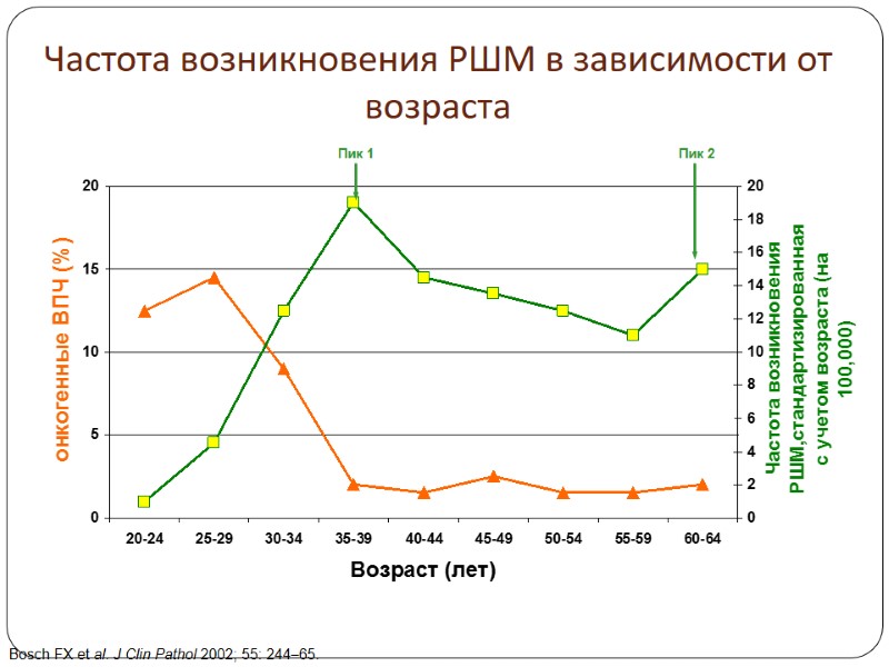 Частота возникновения РШМ в зависимости от возраста Bosch FX et al. J Clin Pathol